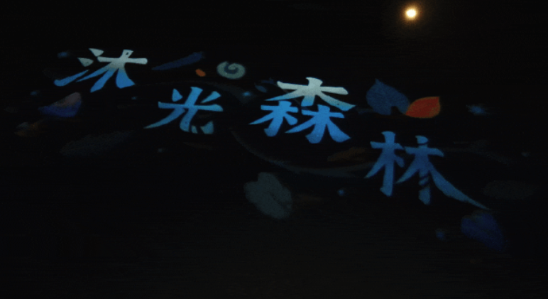 夜探沈阳植物园，巴可投影点亮「沐光森林」奇幻之夜！