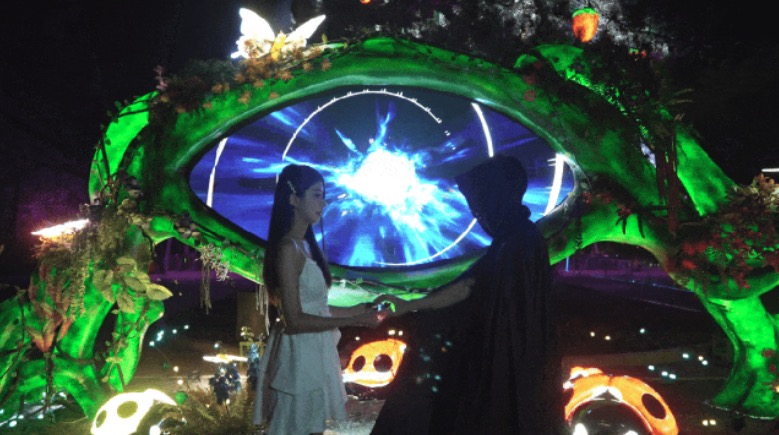 夜探沈阳植物园，巴可投影点亮「沐光森林」奇幻之夜！