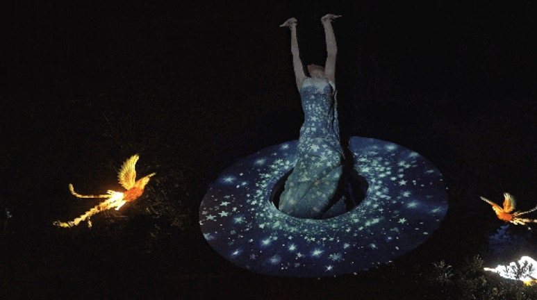 夜探沈阳植物园，巴可投影点亮「沐光森林」奇幻之夜！