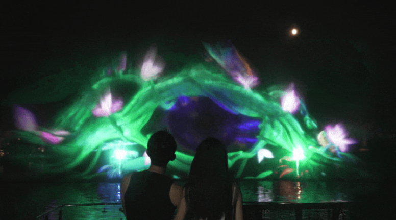 夜探沈阳植物园，巴可投影点亮「沐光森林」奇幻之夜！